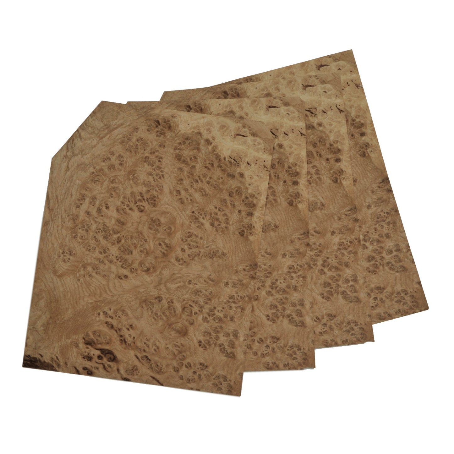 Oak burr veneer