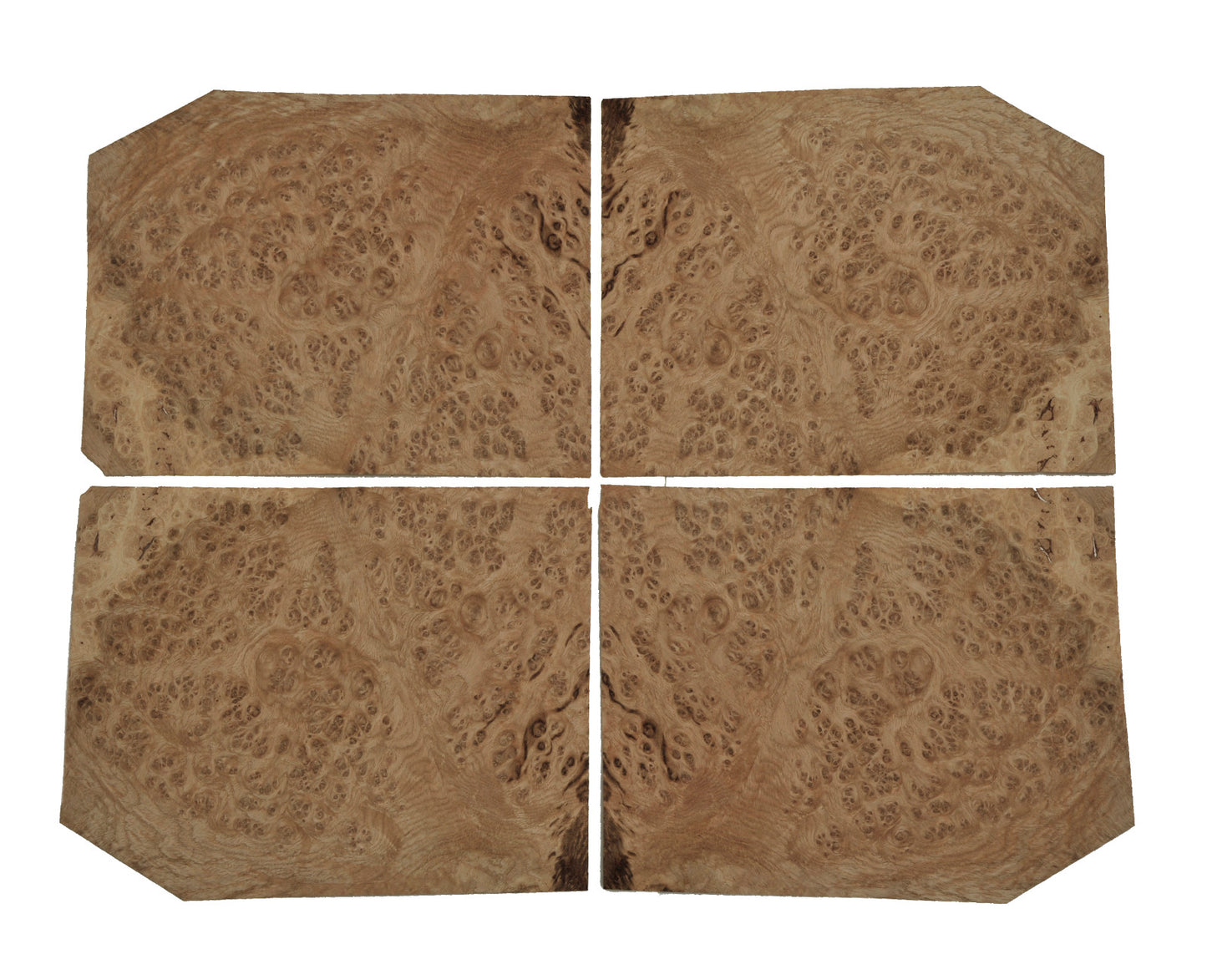 Oak burr veneer