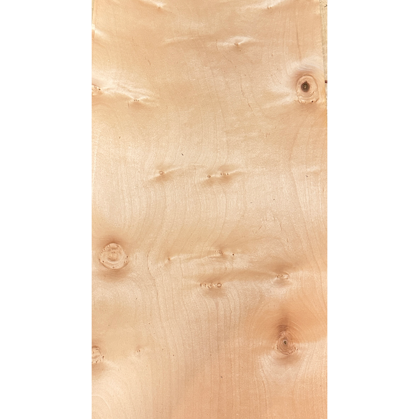 Figured Maple wood veneer