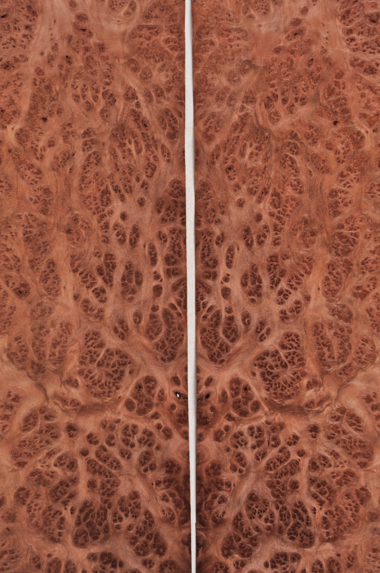 Amboyna Burr veneer - set of 2 leafs. 22" x 7" ( 56 x 18 cm )