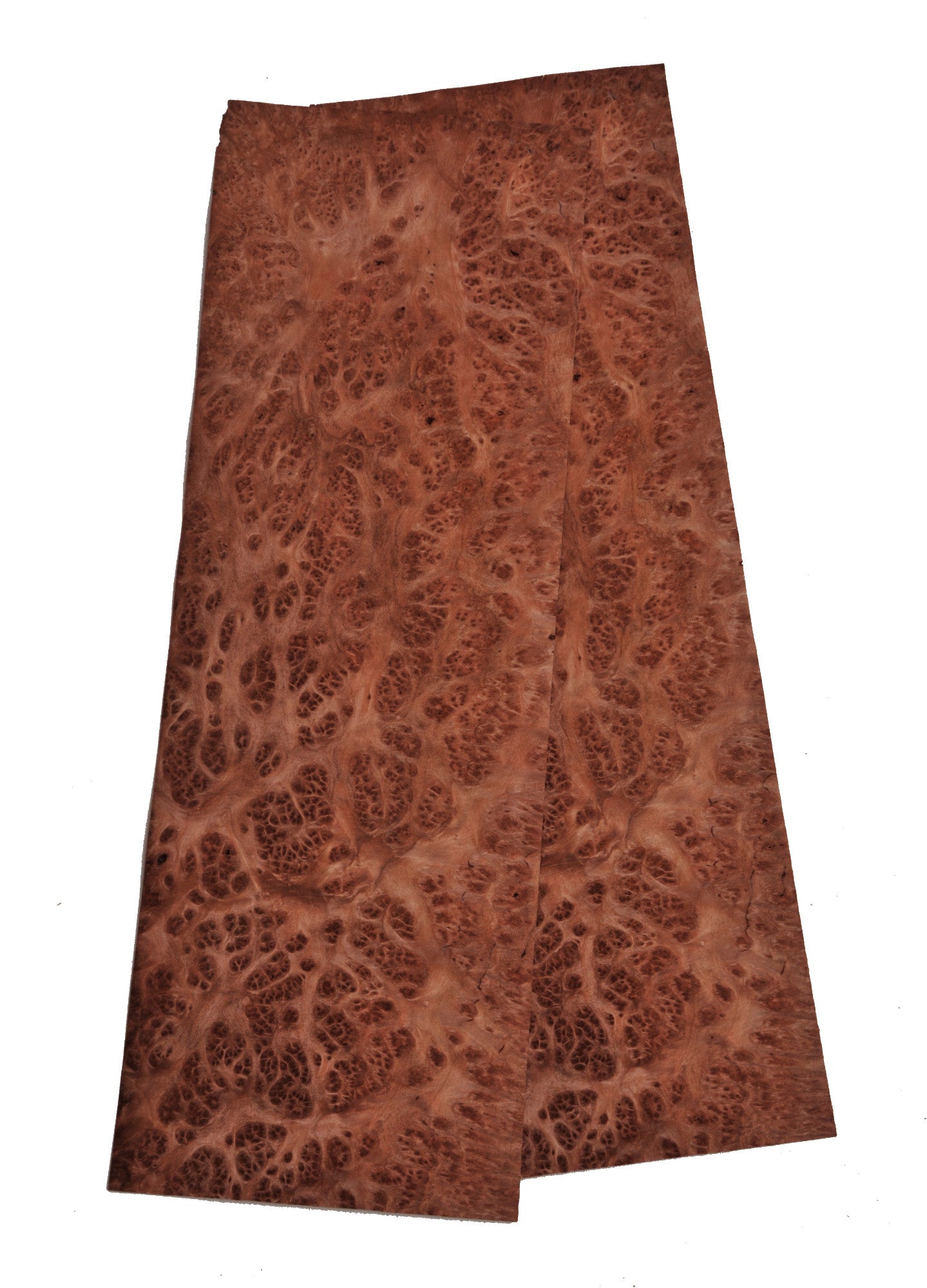 Amboyna Burr veneer - set of 2 leafs. 22" x 7" ( 56 x 18 cm )