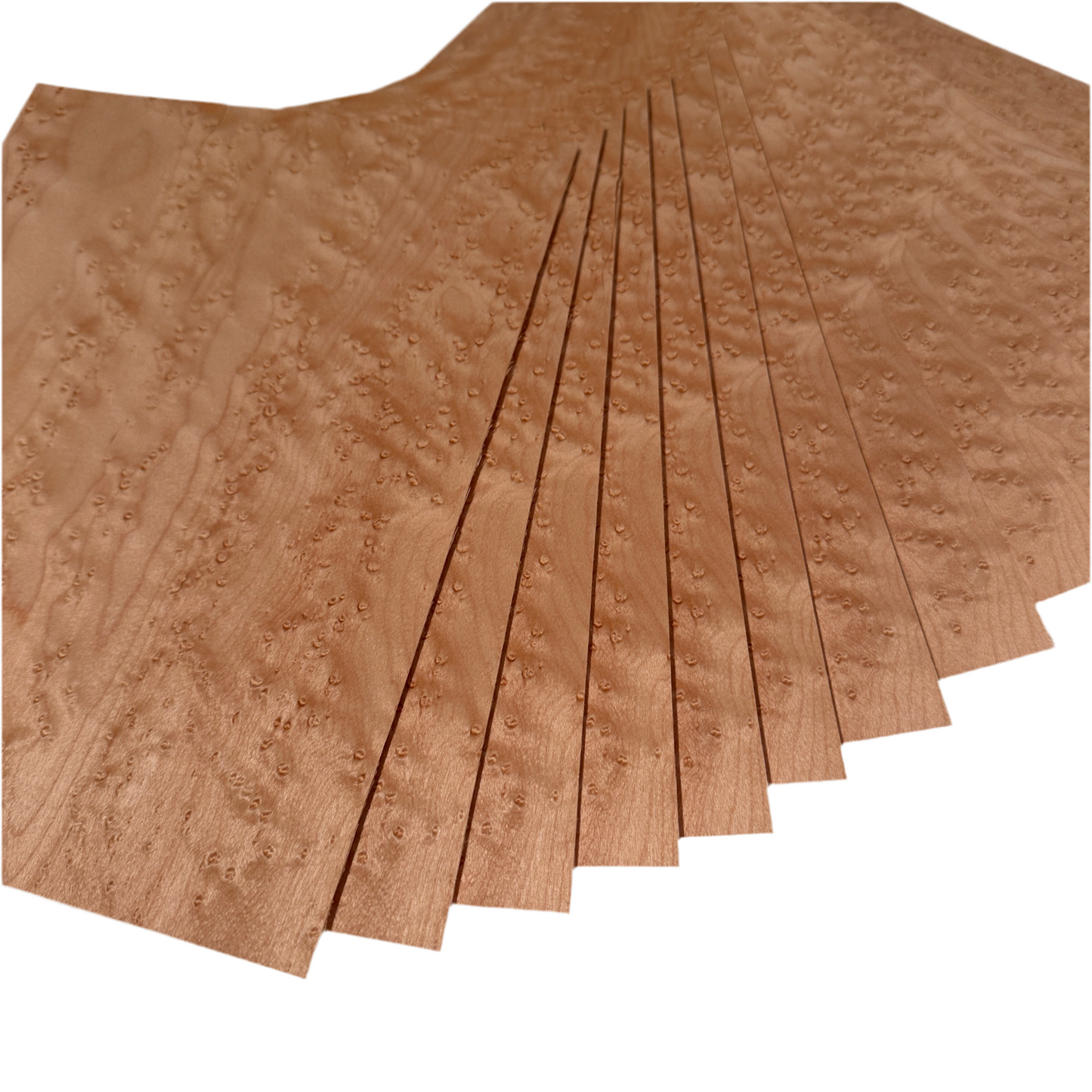 Birds Eye maple veneer - set of 14 leafs 6.5" x 7" ( 22 x 18 cm )