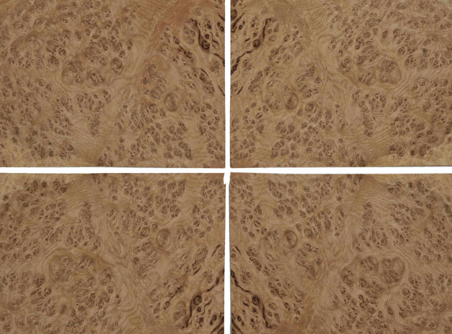 Oak burr veneer sheets