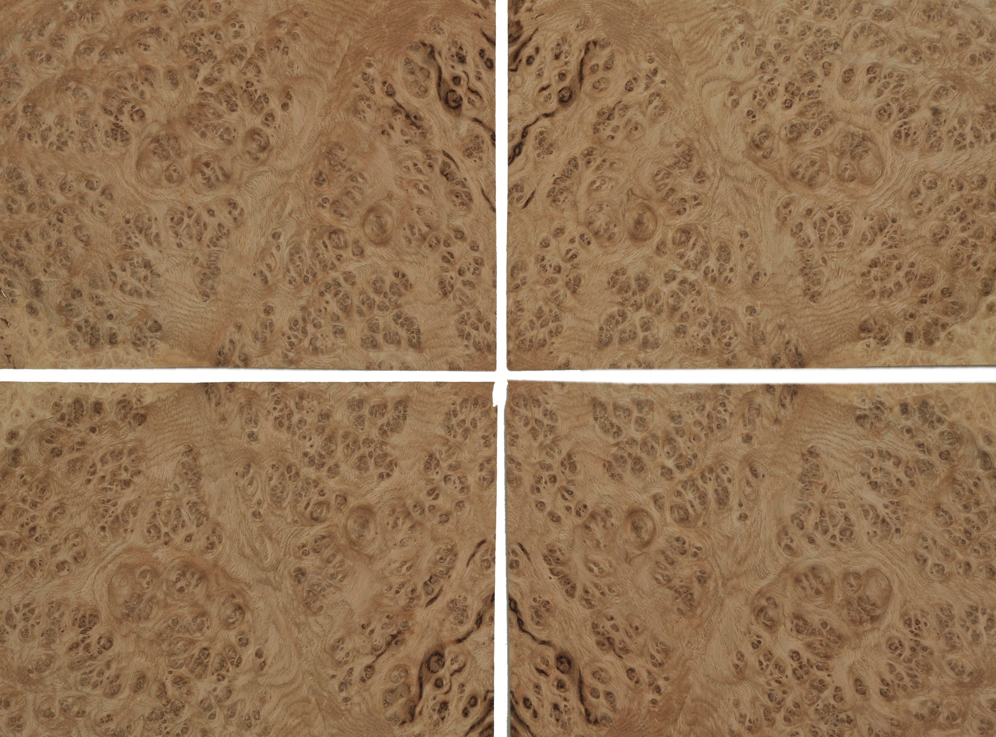 Oak burr veneer sheets