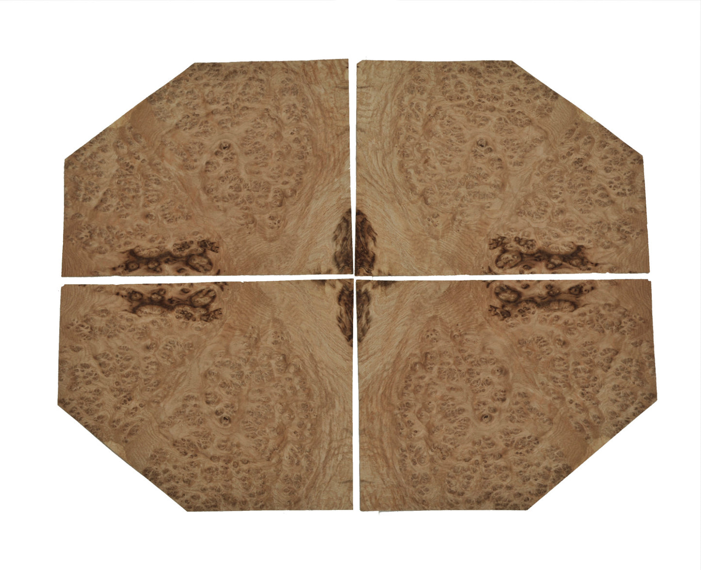 English Oak Burr veneer - set of 4 leafs. 14" x 11" ( 36 x 28 cm )