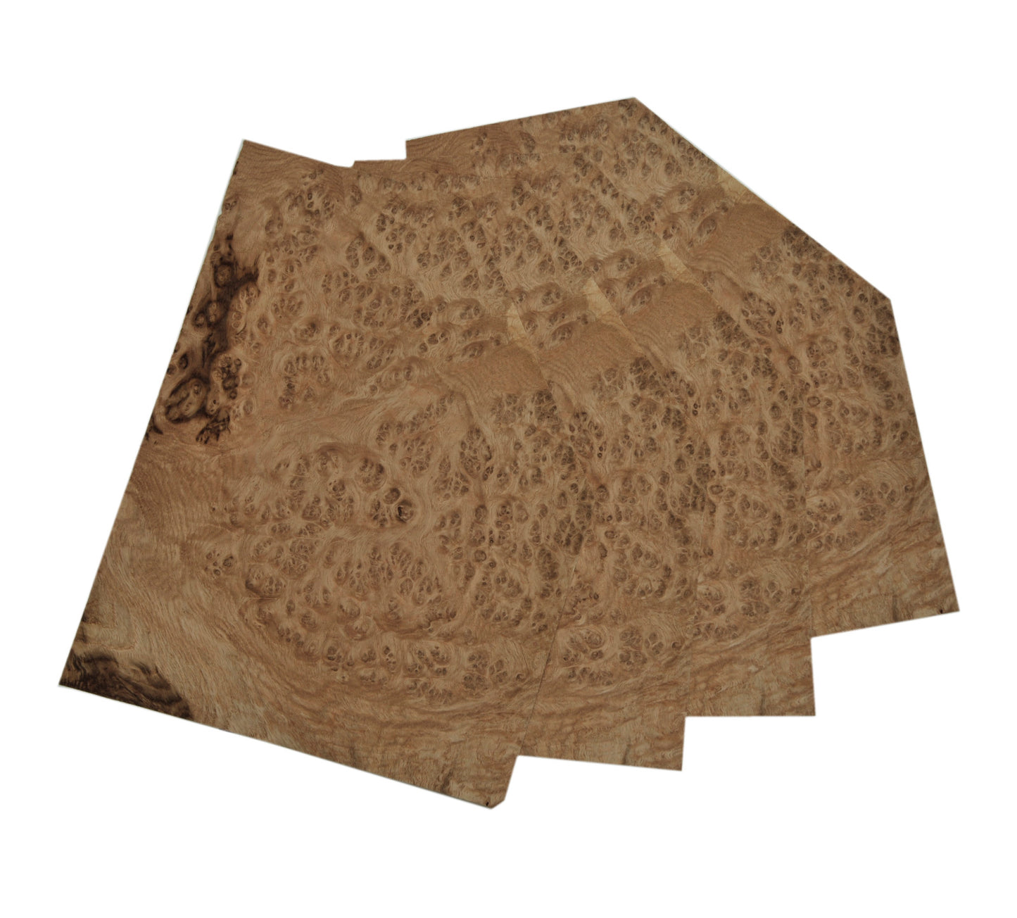 English Oak Burr veneer - set of 4 leafs. 14" x 11" ( 36 x 28 cm )