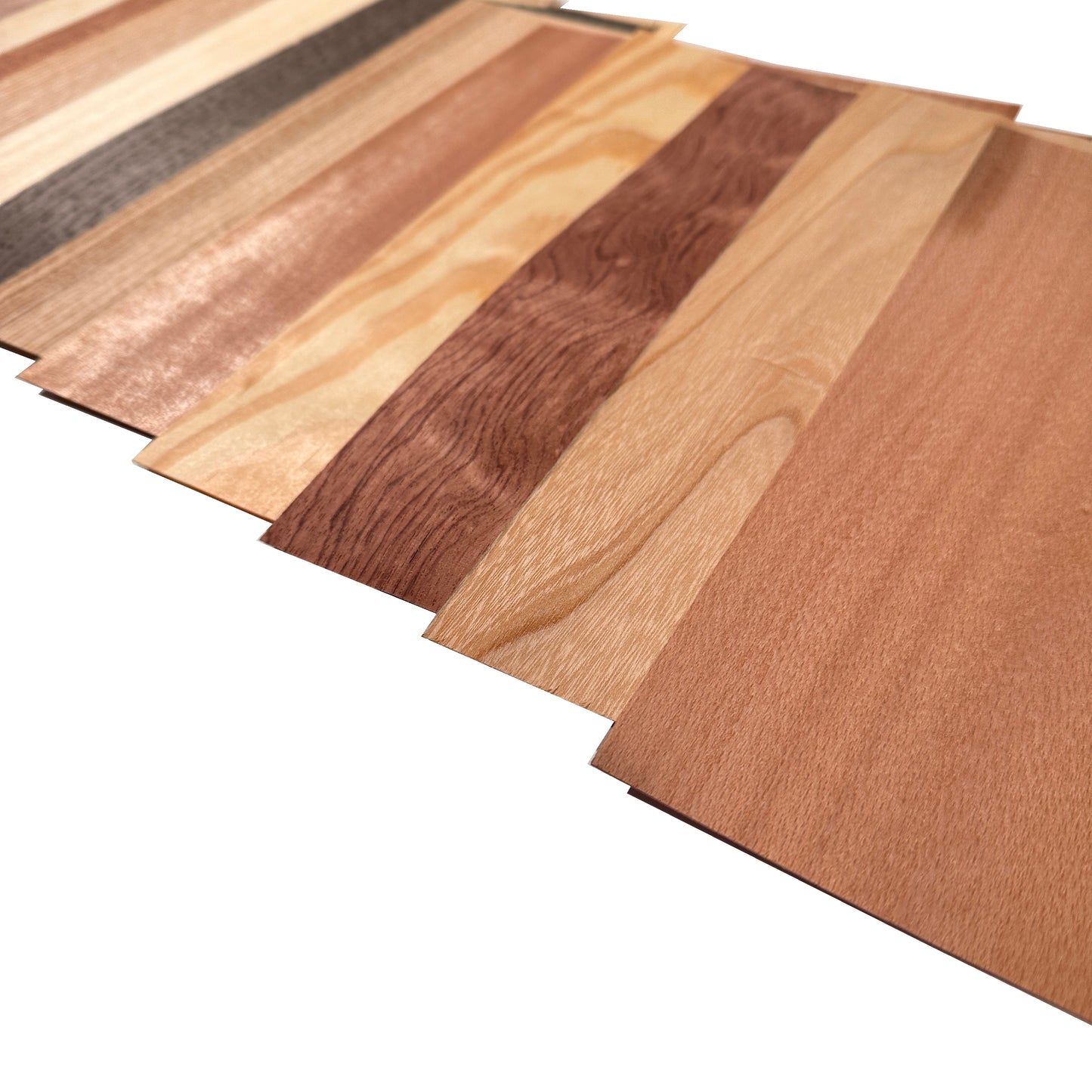 Wood veneer mixed pack. Set of 12 leafs.