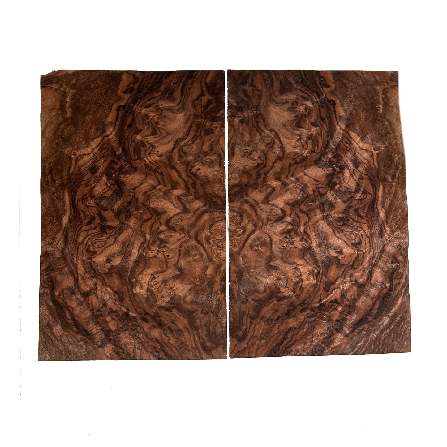 Walnut cluster veneer - set of 2 leafs: 15.5" x 10" ( 39 x 25 cm )