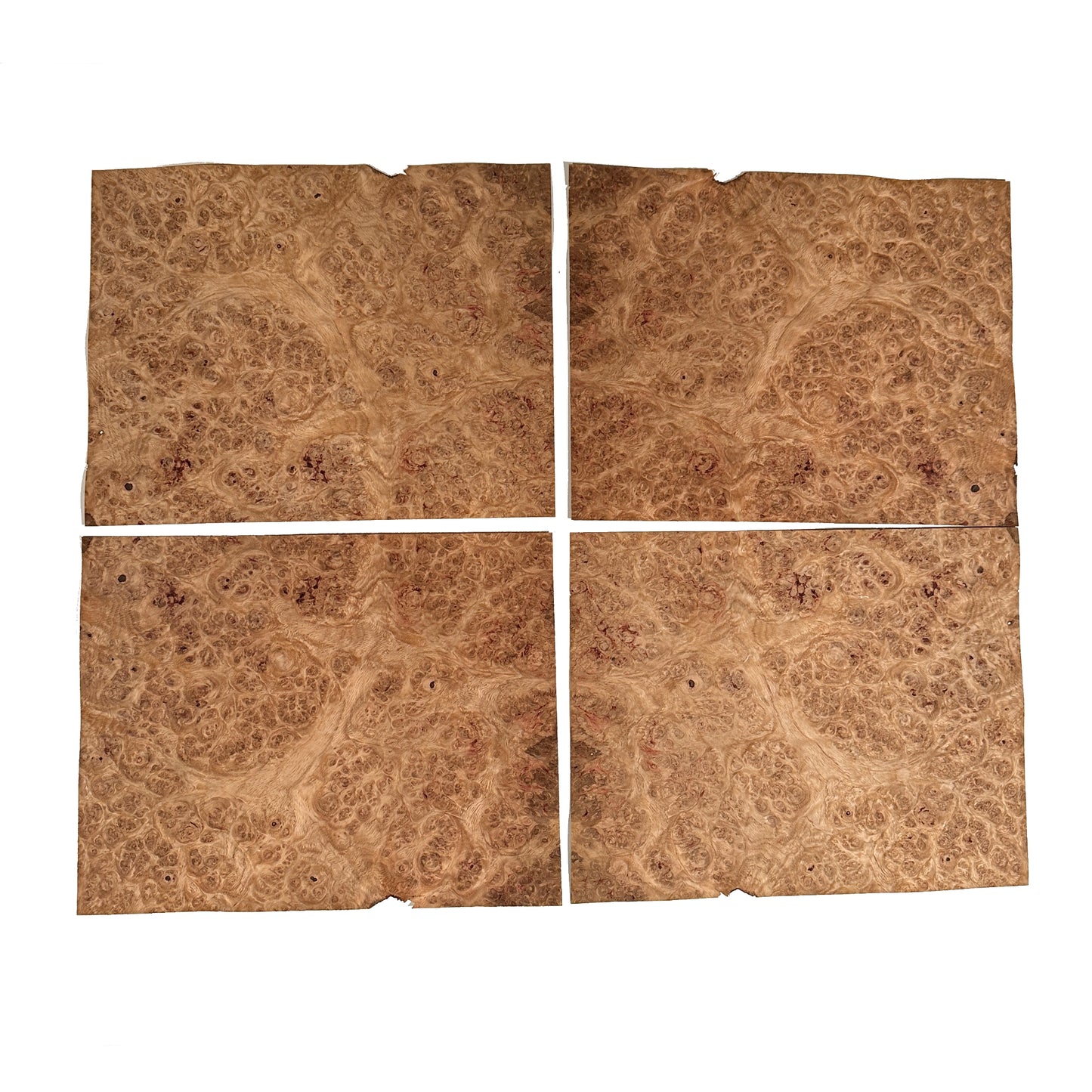 Oak burr veneers