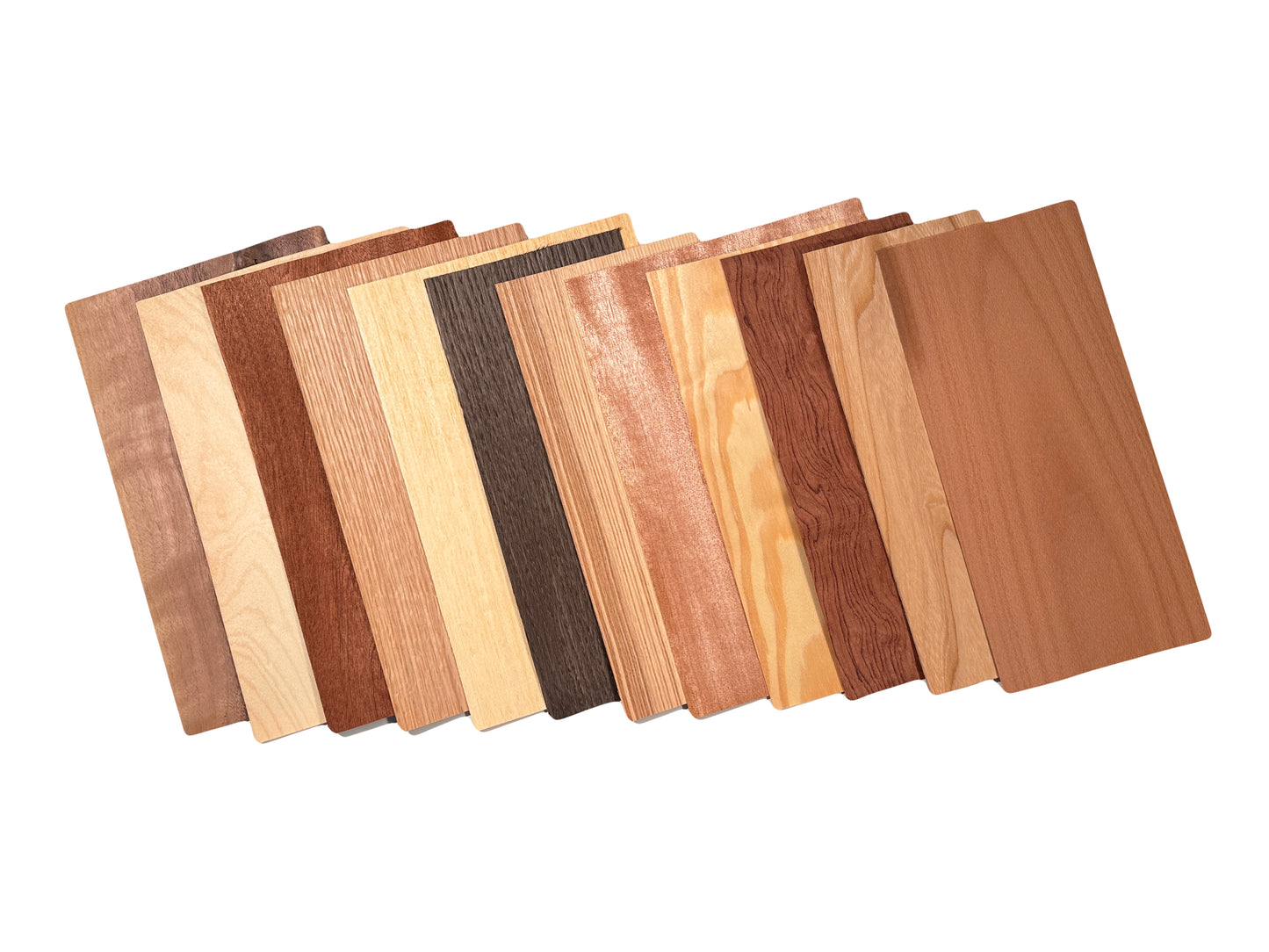 Wood veneer mixed pack. Set of 12 leafs.