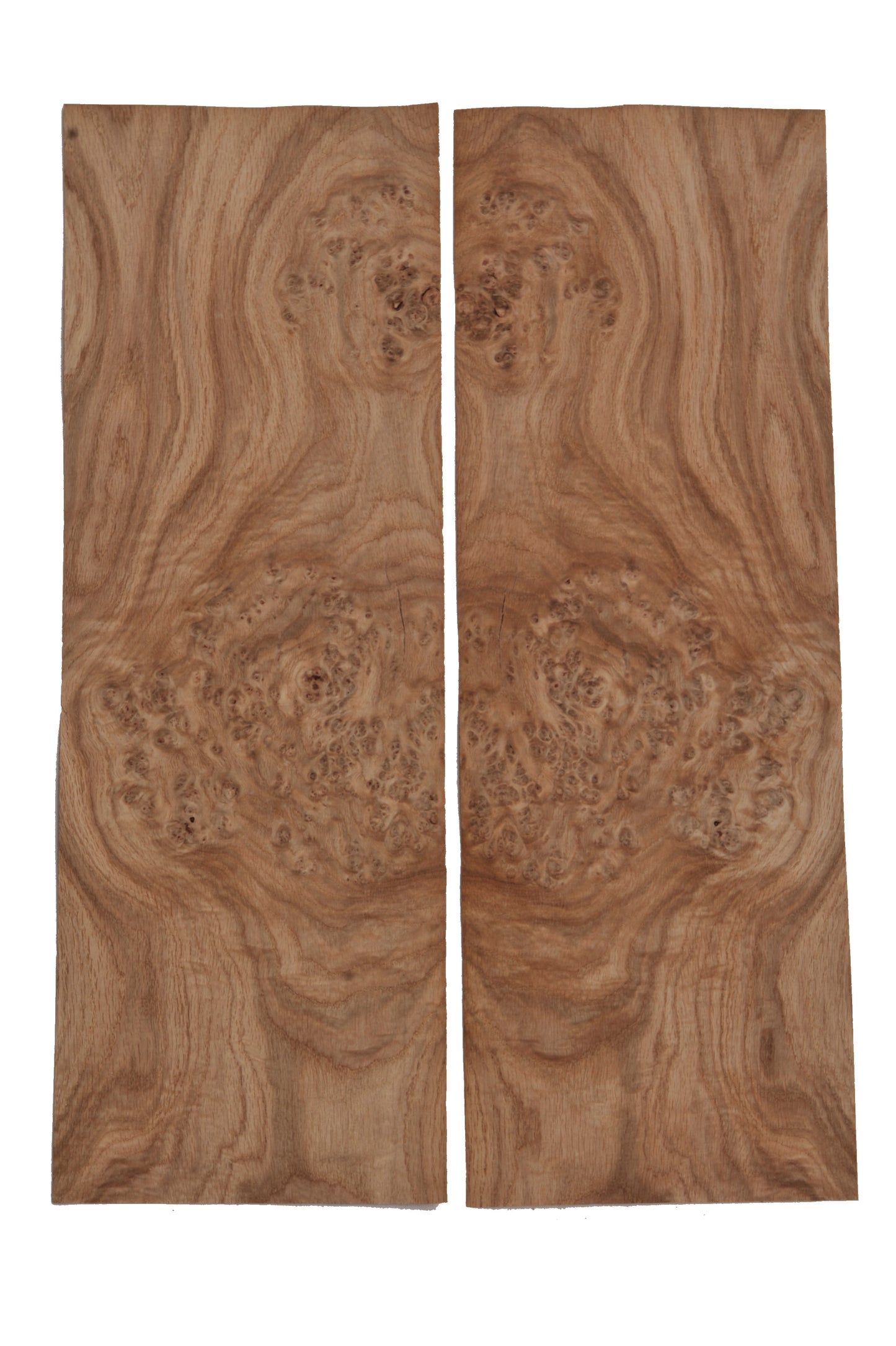 Oak Burr veneer - set of 2 leafs 22" x 7.5" ( 56 x 19 cm )