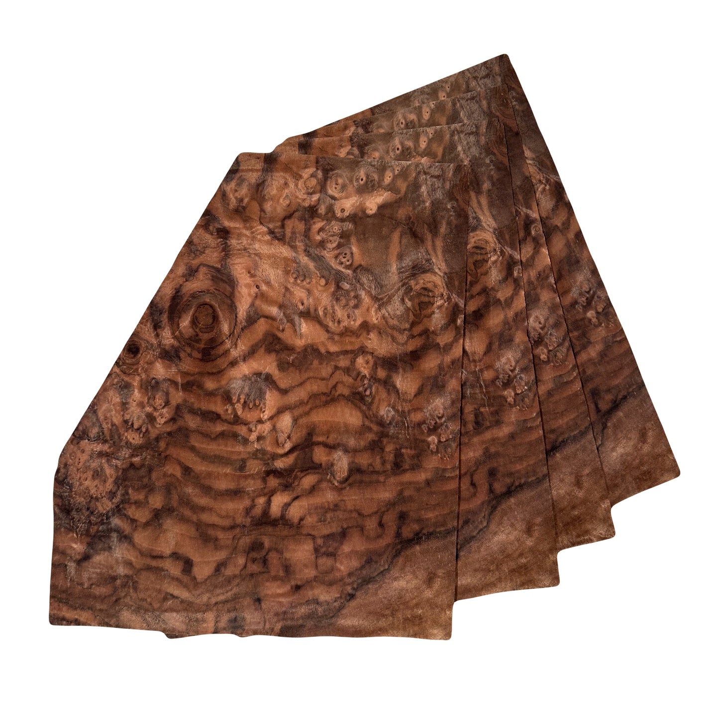 Walnut burr wood veneer