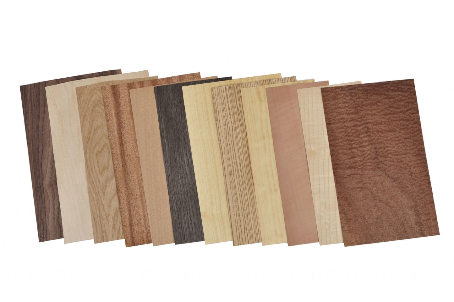 Wood veneer mixed pack. Set of 12 leafs.